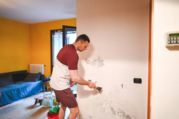 Best Attic Mold Remediation in Burton, OH